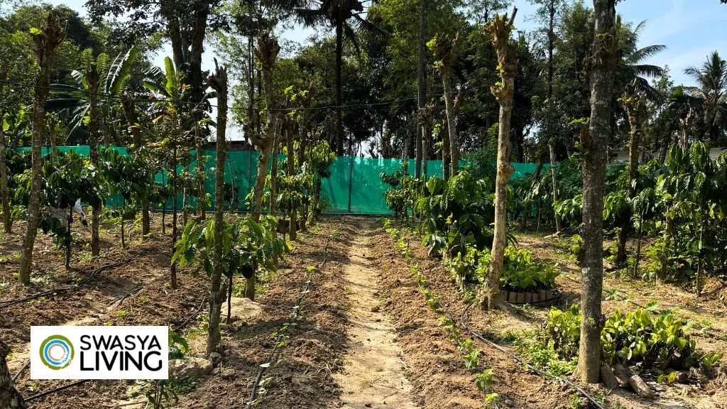 Maximize Capital Gain on Sale of Agricultural Land