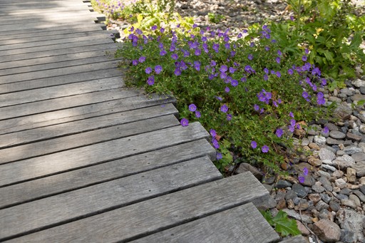 Passerella-in-legno-parco-Lugano (Canton Ticino) Galimberti-IMG_8494.jpg