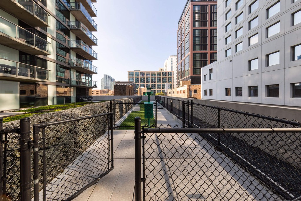 Fenced dog run  at Catalyst West Loop Chicago apartments
