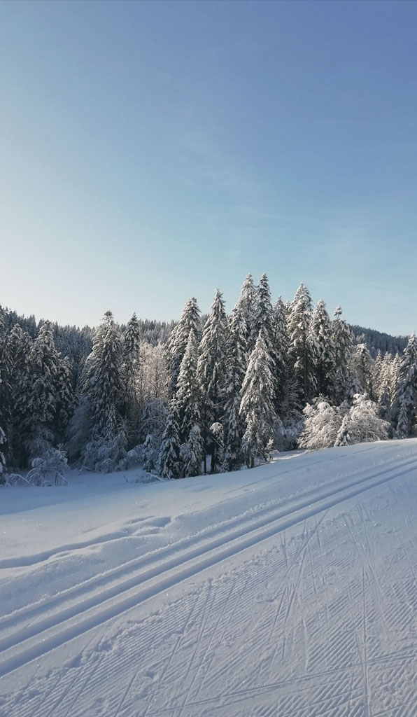 people in a large building with Tate Modern in the background