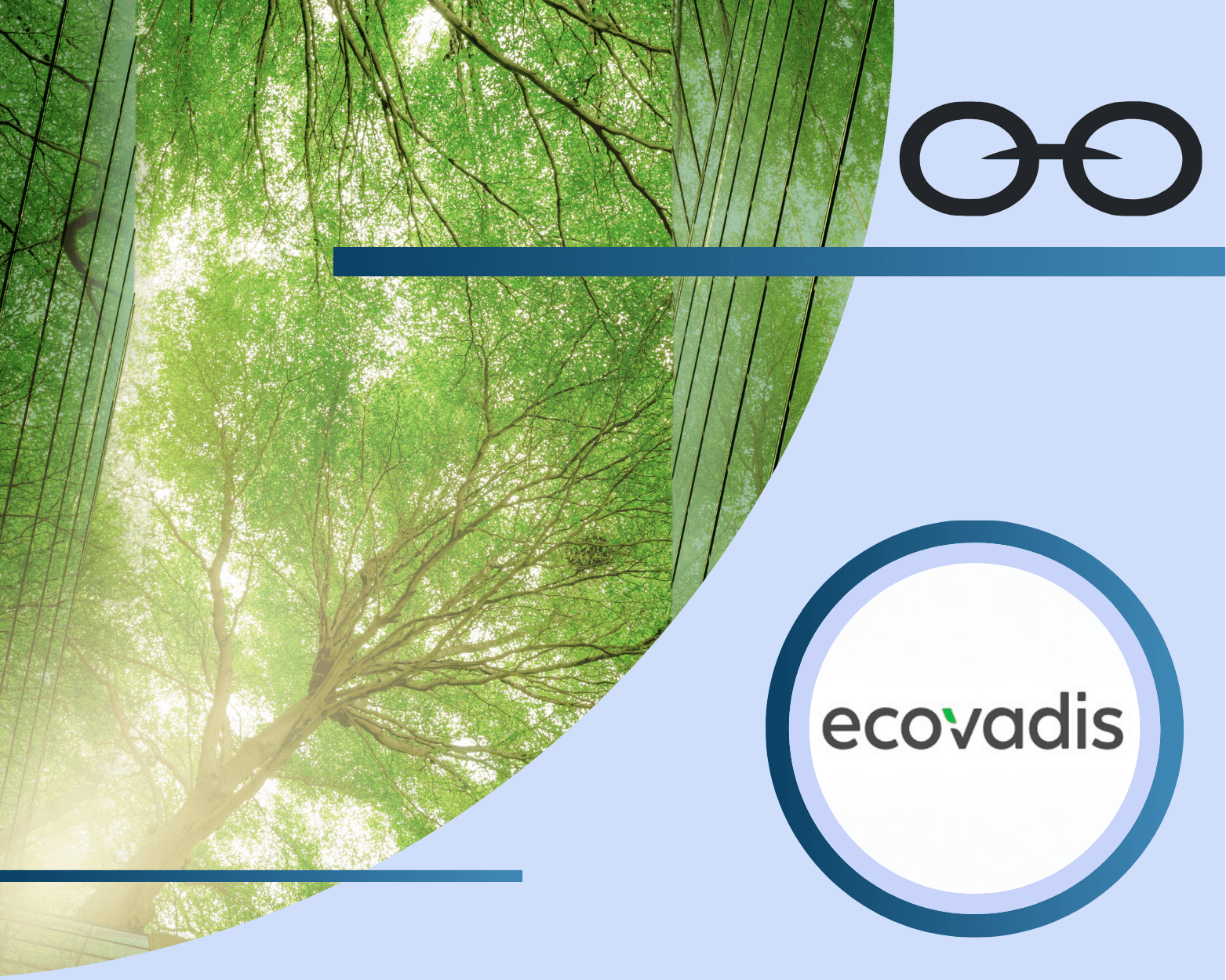 An image of green trees with a circle around the word "ecovadis"