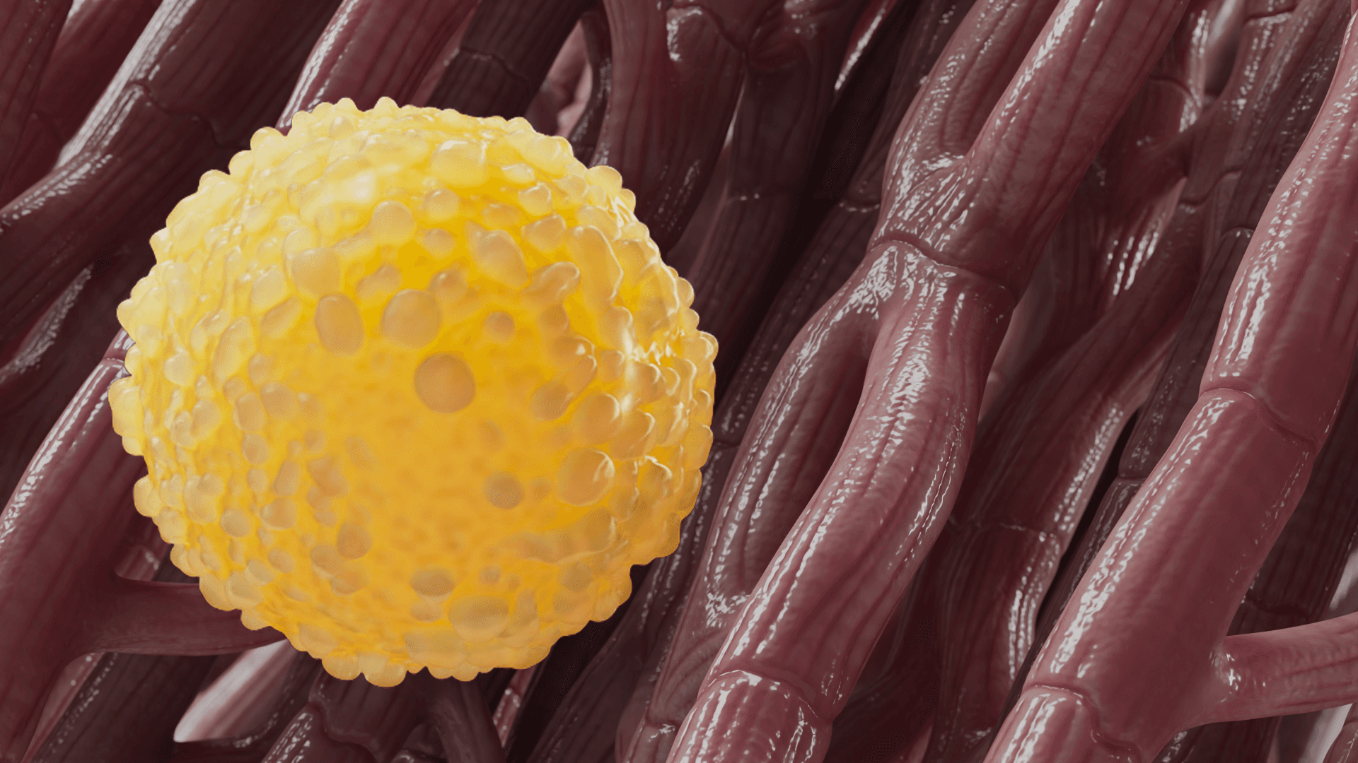 Stem cell image