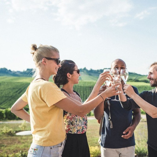 Друзья поднимают бокалы в окружении красивых пейзажей