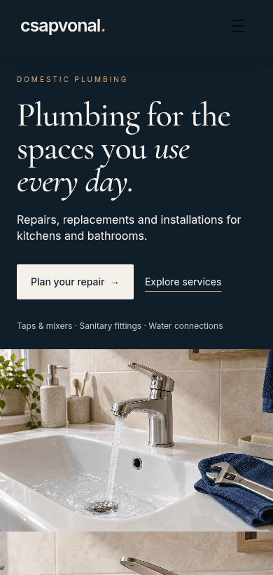 plumbing fictional website demo
