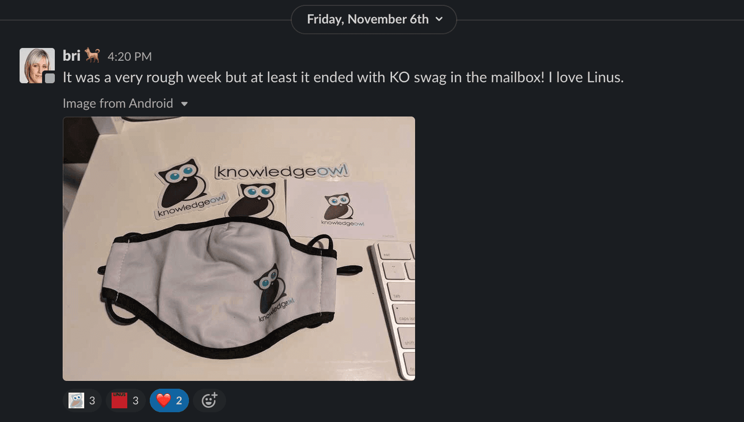 Photo of KnowledgeOwl swag received in the mailbox