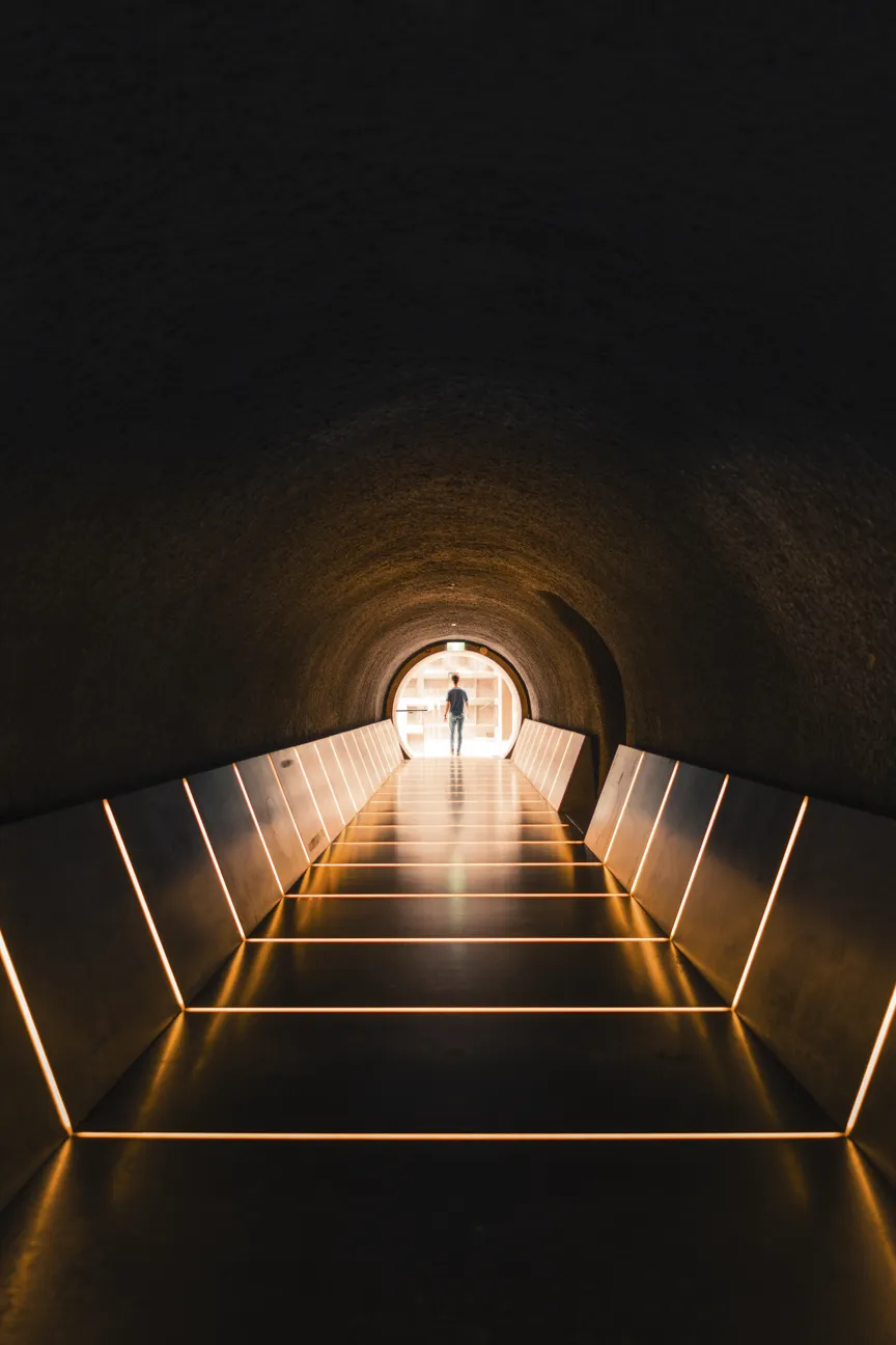 Museum of Old and New Art (MONA)