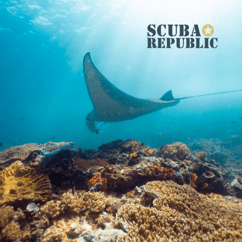 Scuba Republic Komodo, Labuan Bajo