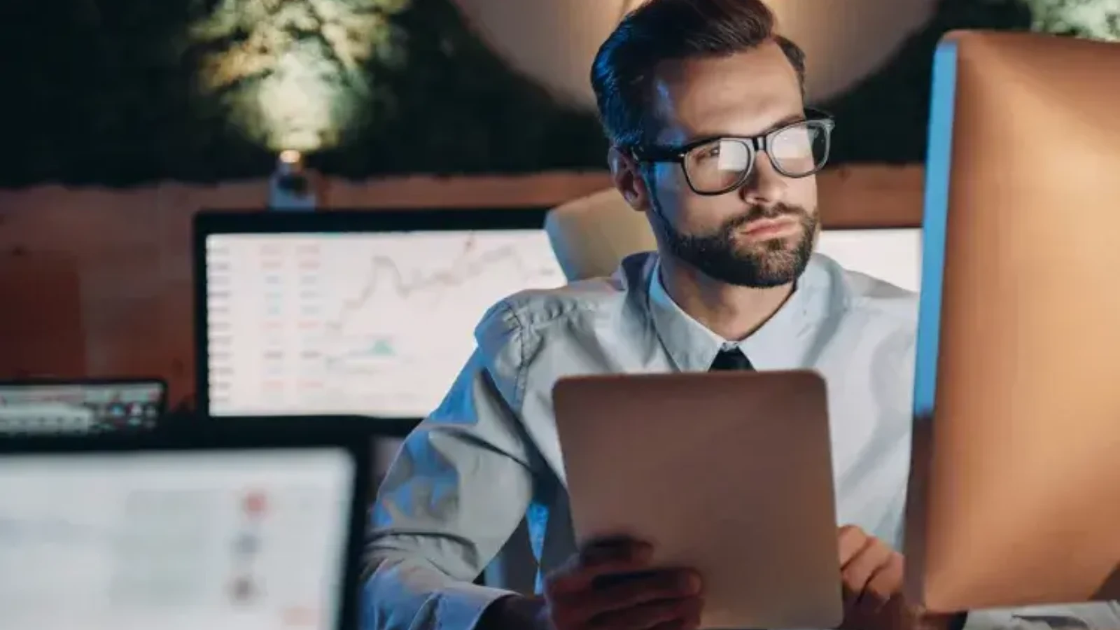 Types of Work Options