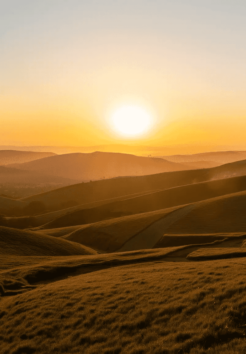 Weite Hügellandschaft bei Sonnenaufgang – Das Herz der Oronos Stiftung.