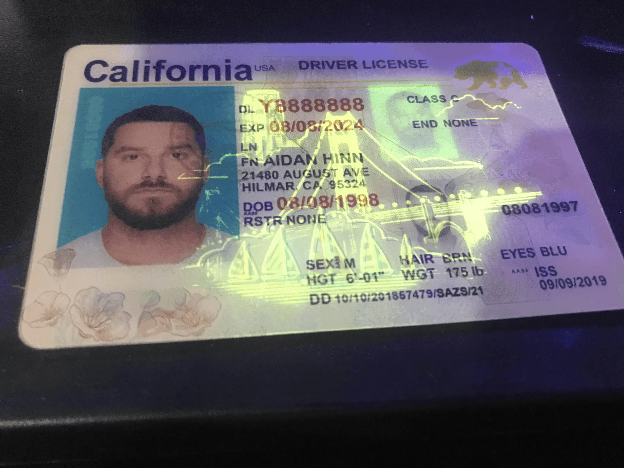 Holograms on a fake id under blacklight