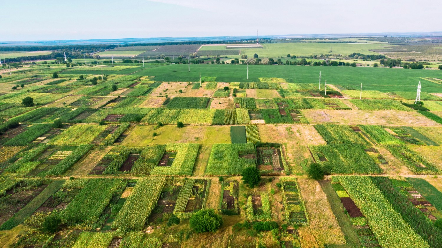 wide shot of farmland zones