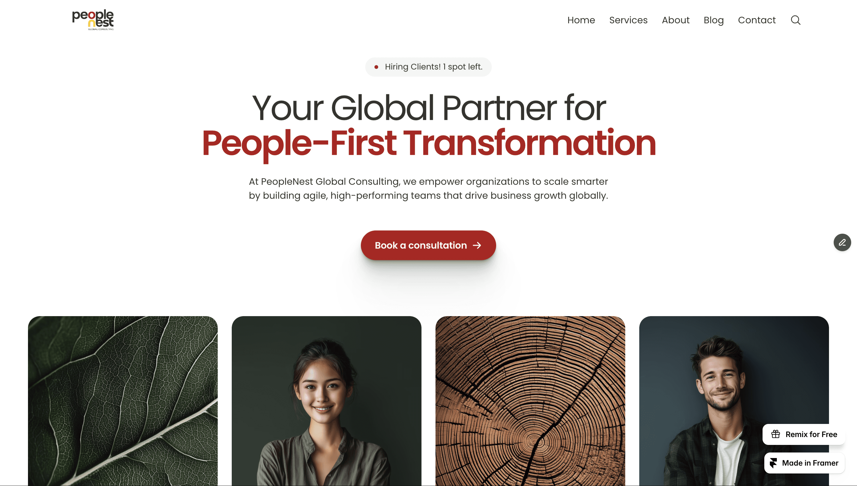 People Nest Global Consulting | Home