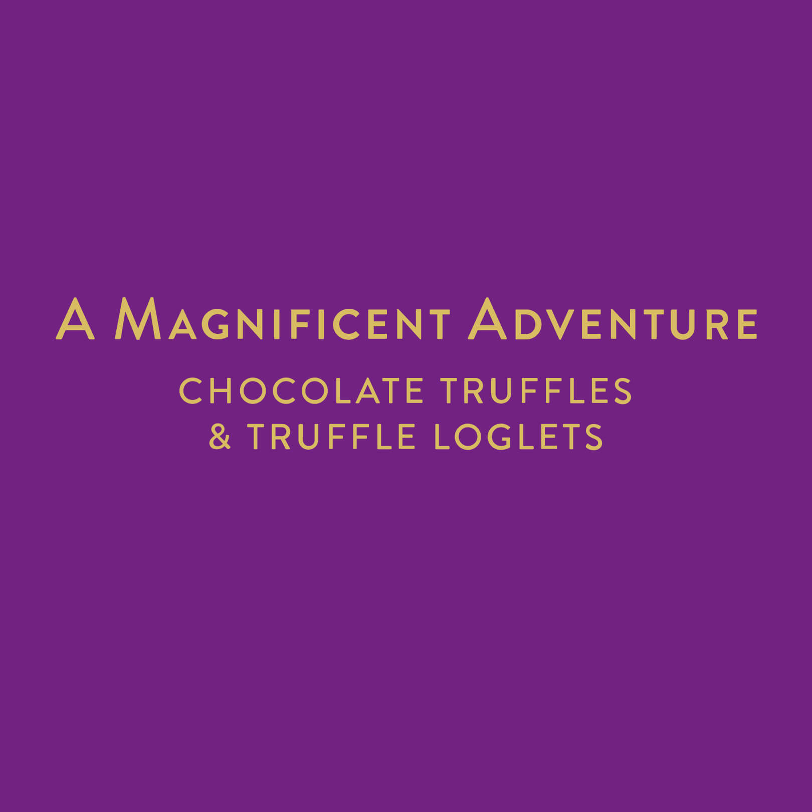 Booja-Booja A Magnificent Adventure