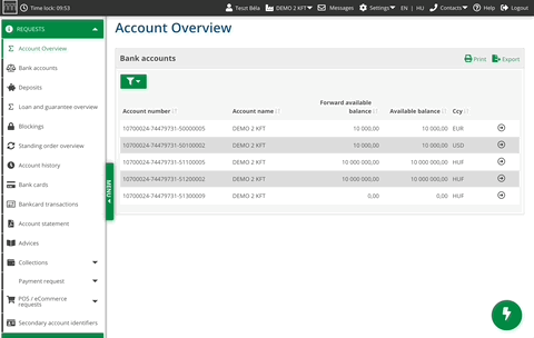 Animated Electra Internet Banking user interface
