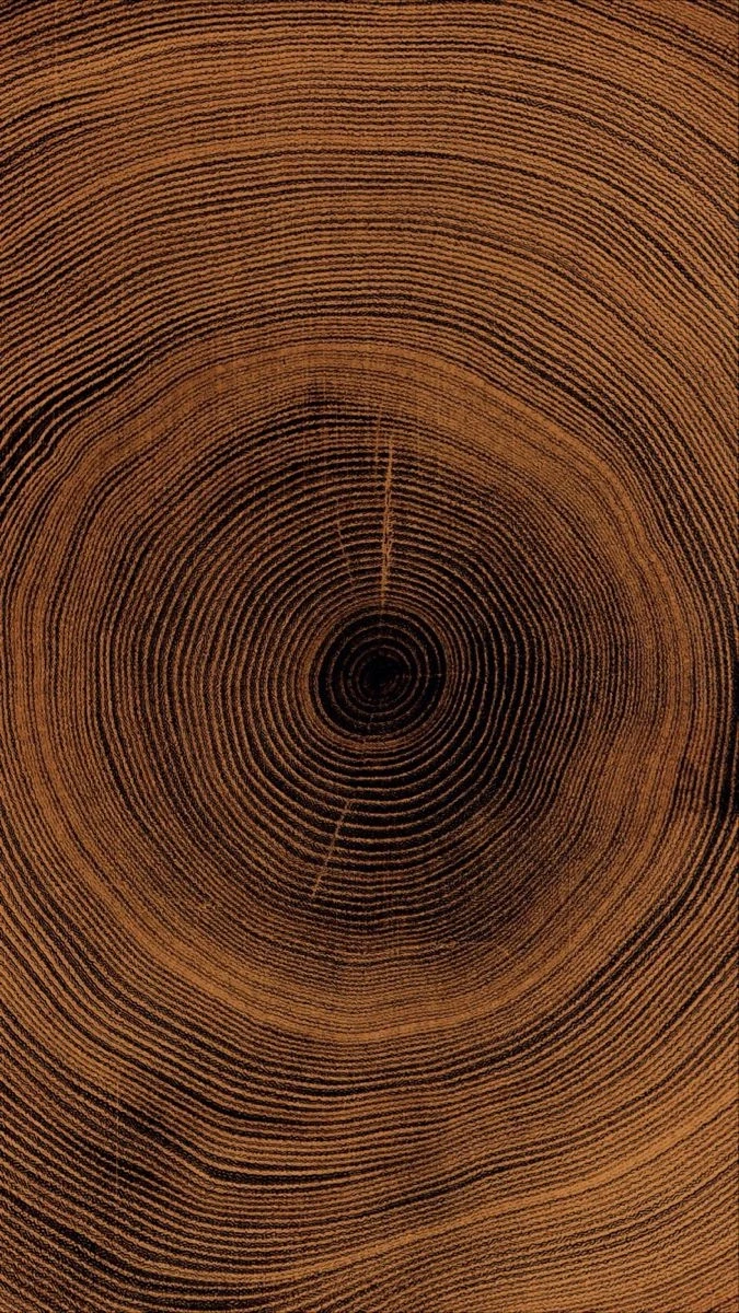 Kerbholz BFCM Lamp Product Launch Art Direction and Branding Wood Grain