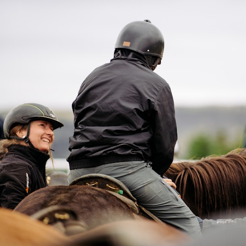 ไอซ์แลนด์: ขี่ม้ากับ Siggi Tour - บัตรเข้าชมในโอลฟุส