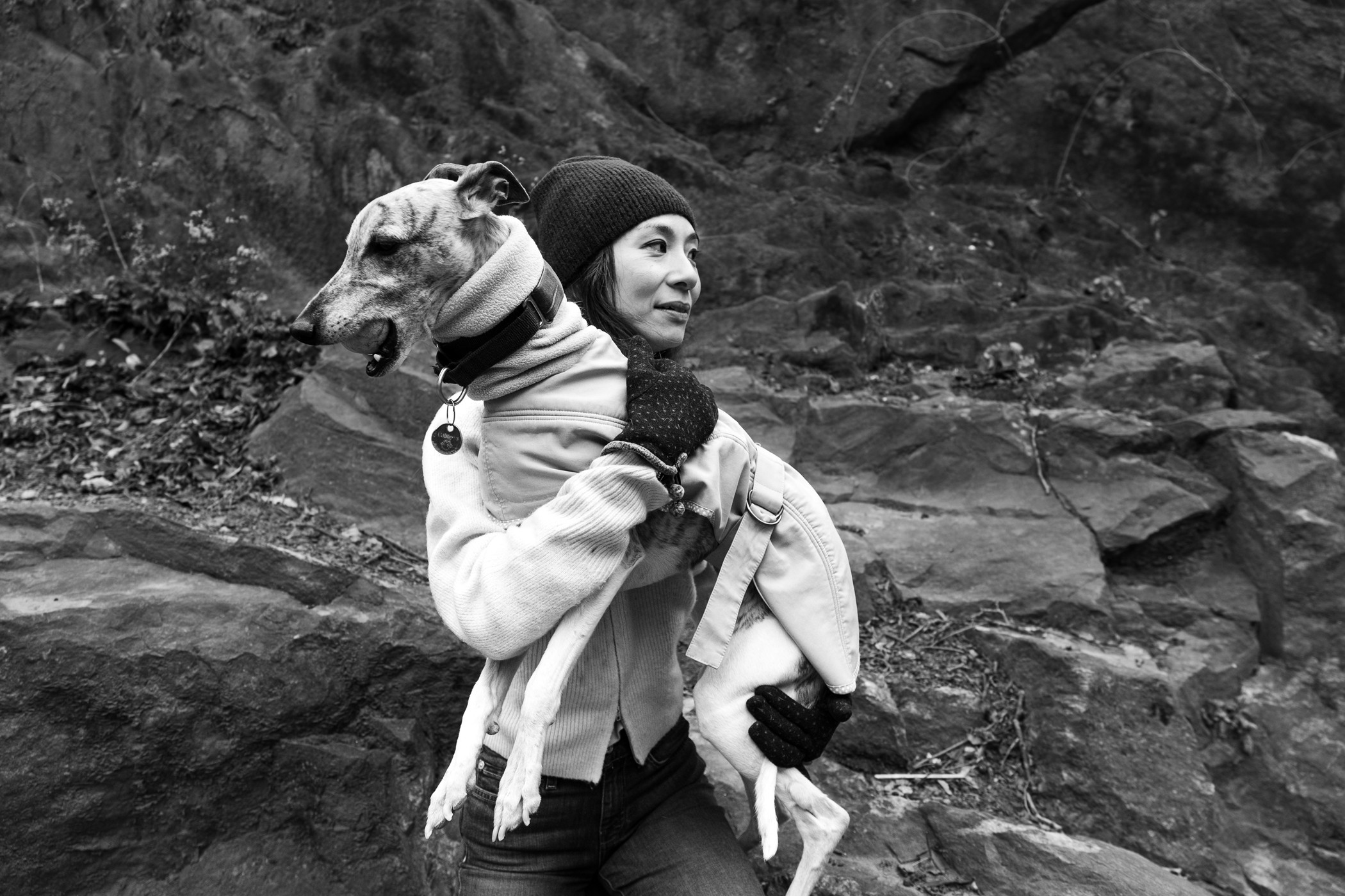 black-and-white-pet-portrait-whippet-central-park-new-york