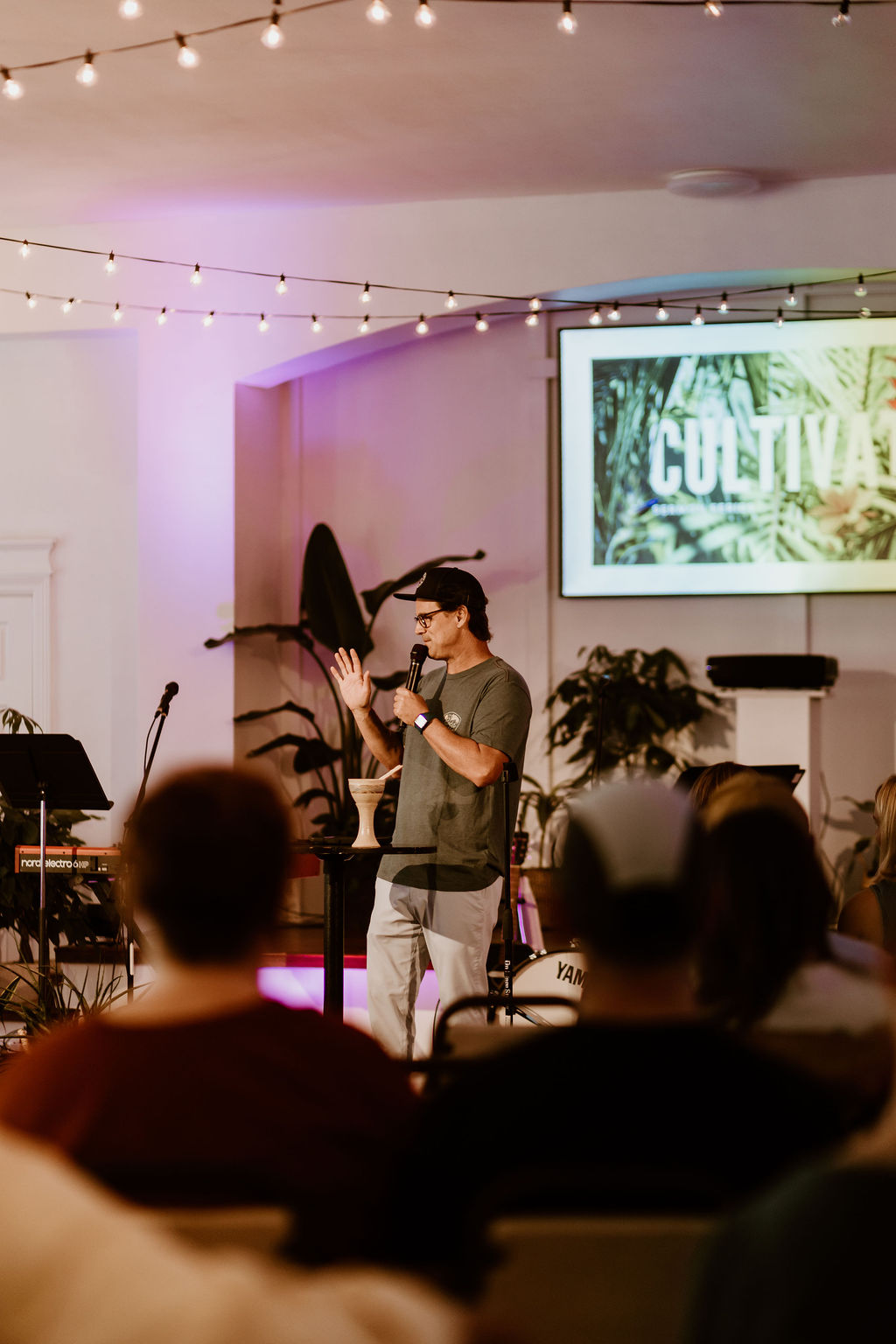 aerial shot of forest