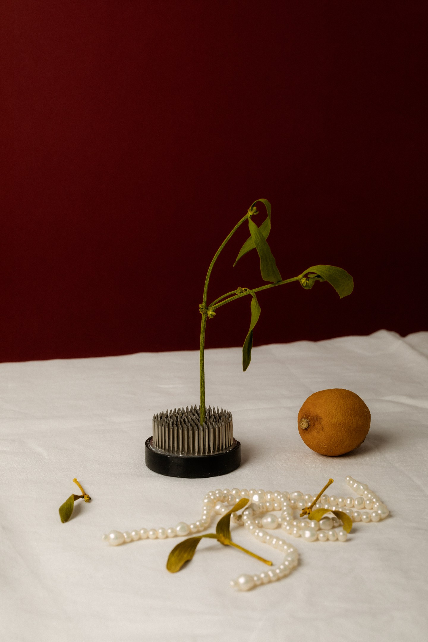 Moody Still Life