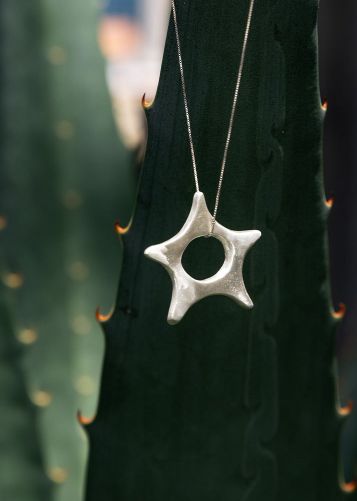 Silver star pendant hanging in a cactus
