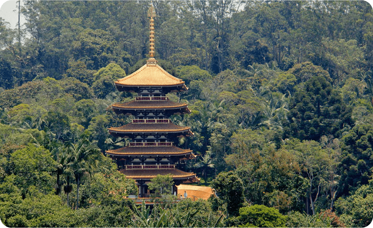 Excursión a la Torre Miroku
