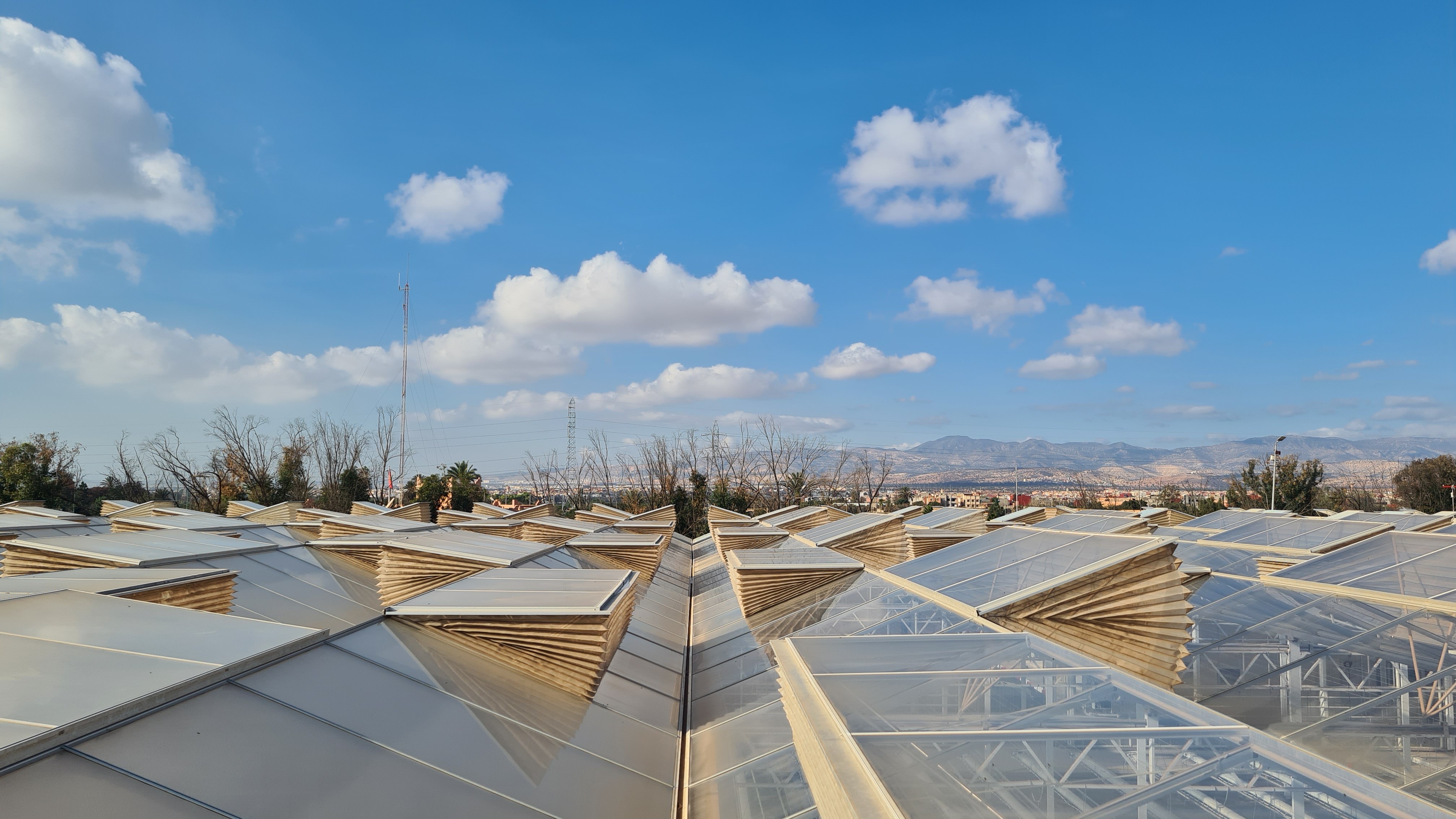 Nexus Flow greenhouse fog and air humidification