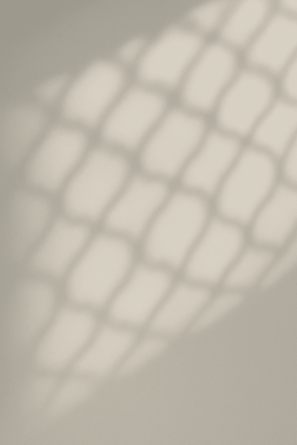 Shadow of a hand and plant on a wall