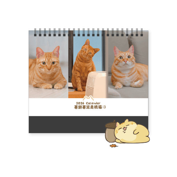 Close-up of evergreen foliage, showcasing vibrant green needles densely packed together.