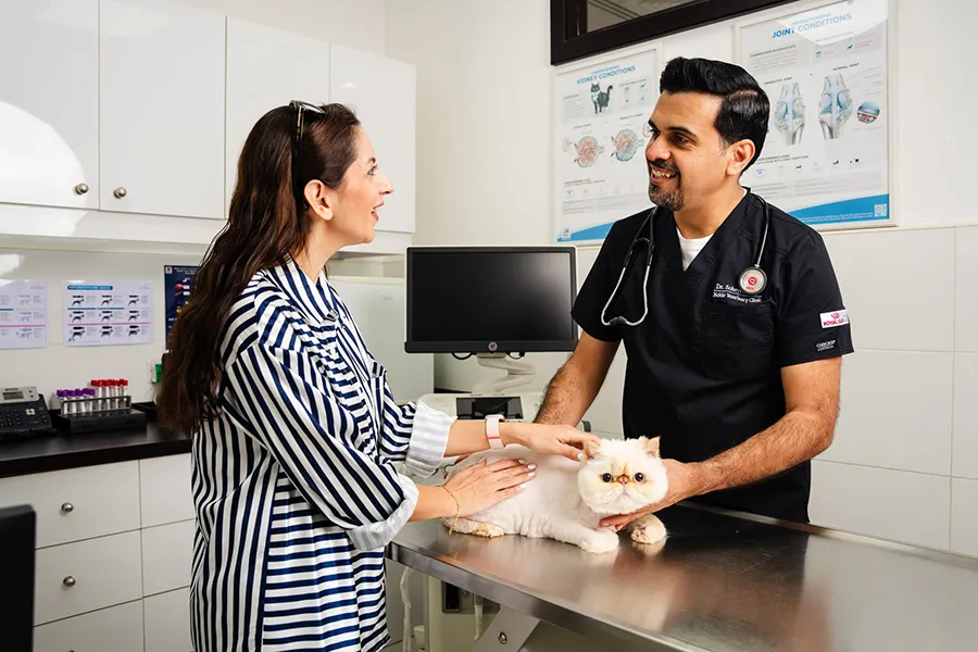 A pet oiwner is talking to a veterinarian about her cat's lab results.