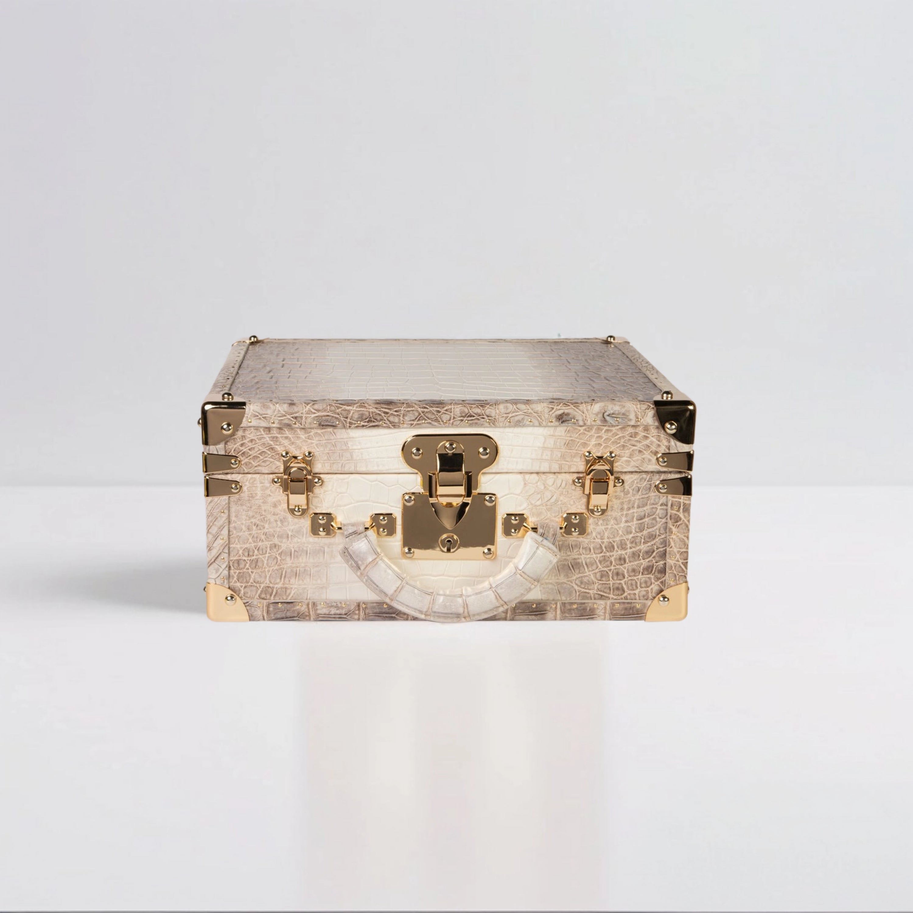 Travel GUARDIAN'Luxury Case - Limited Edition image 0