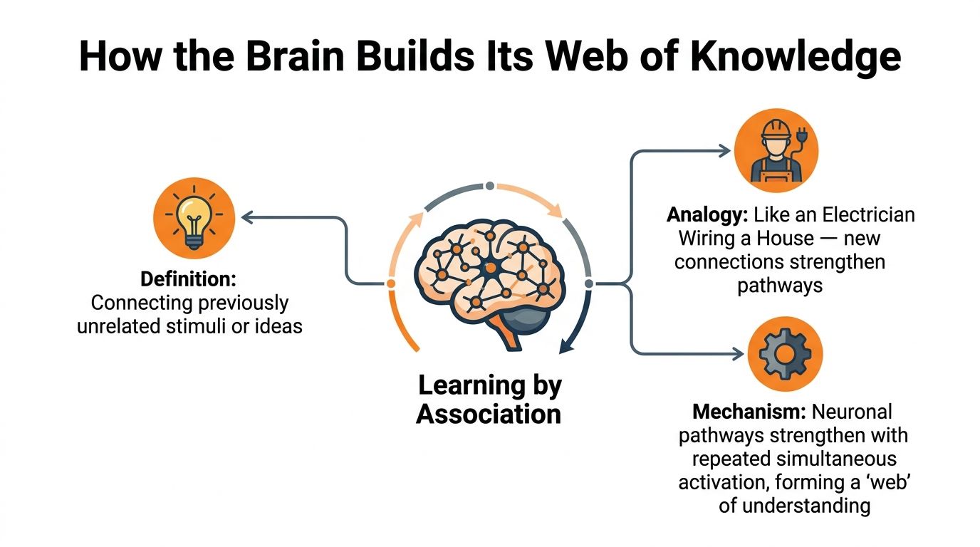 Infographic