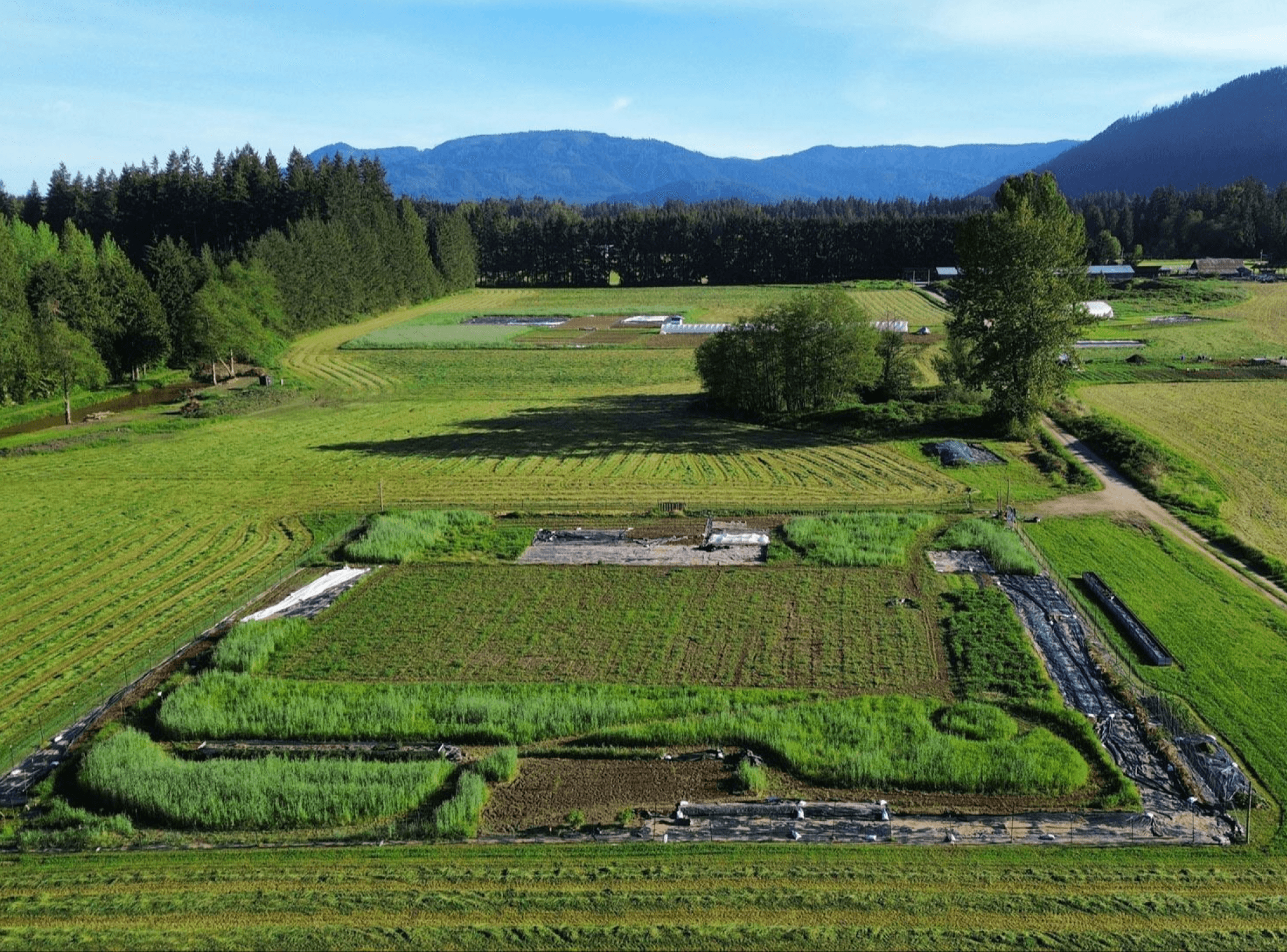 Cultivated fields and surrounding landscape at Reconnecting Roots Farm.