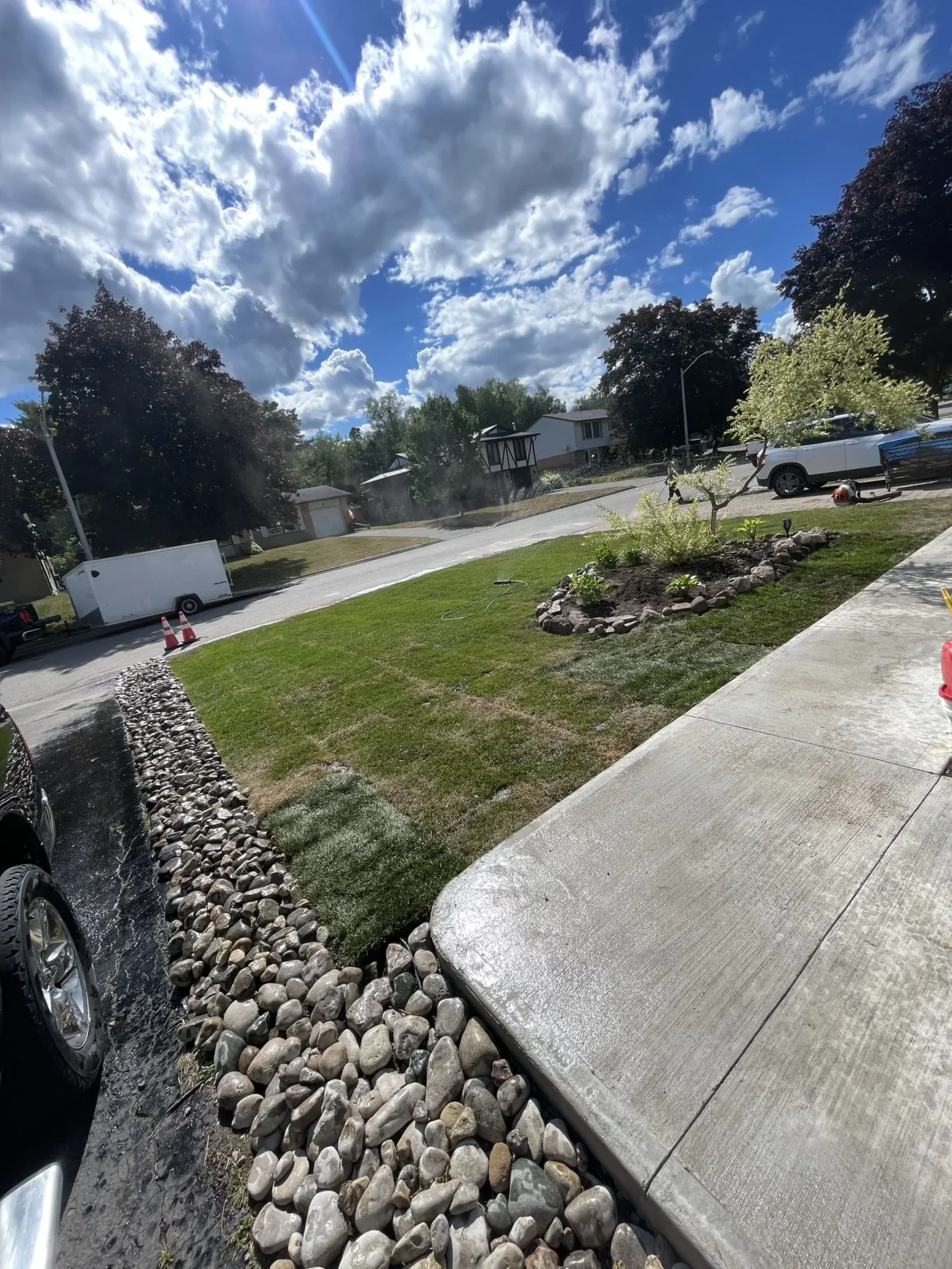 Recently installed sod with decorative stone edging on a front lawn