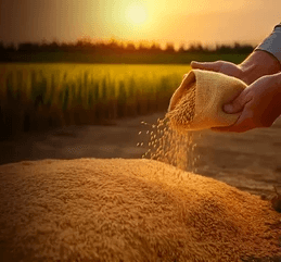 Policies Enhancing Public Welfare