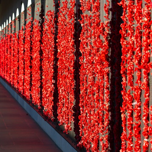 堪培拉之旅亮點