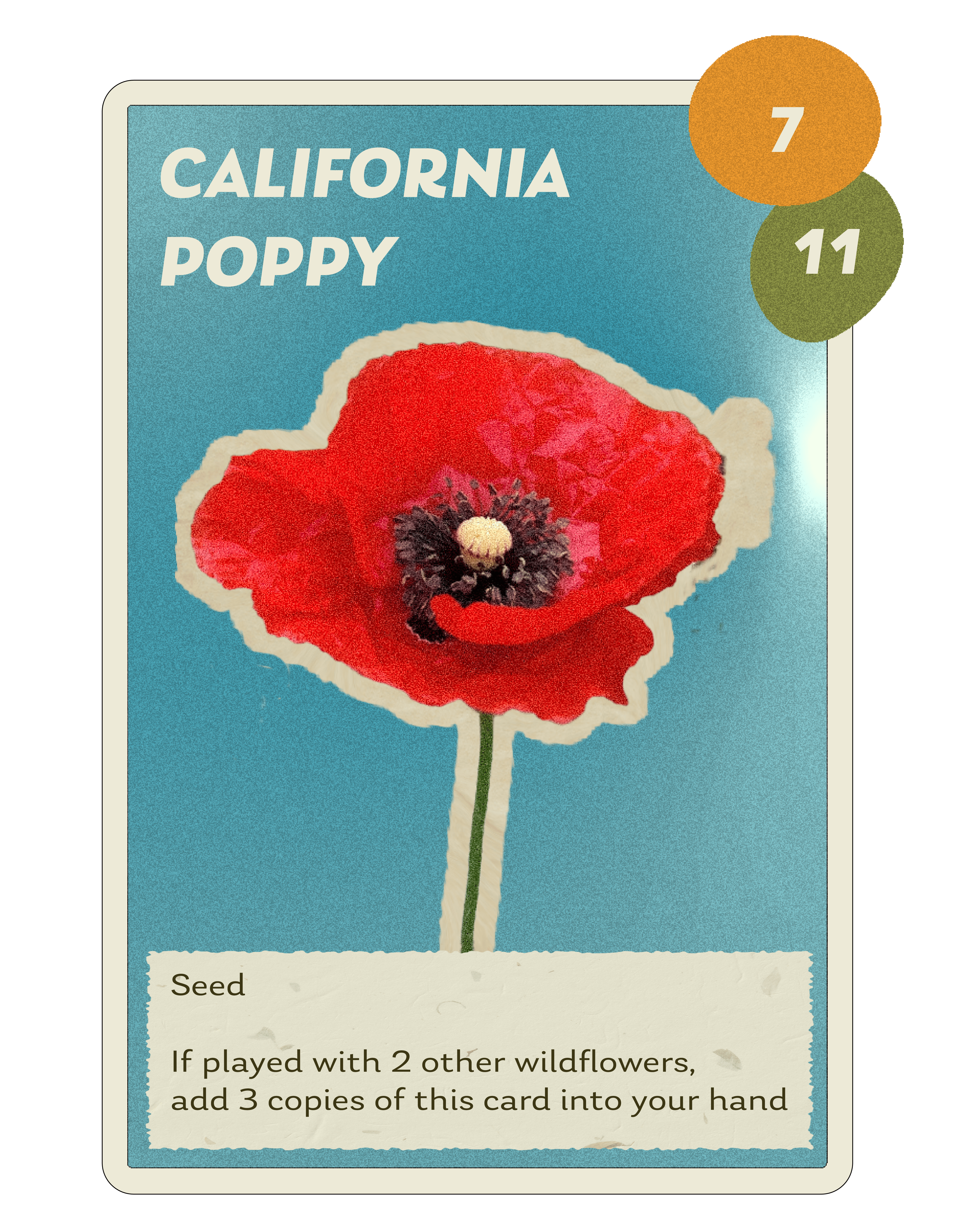 California poppy game card