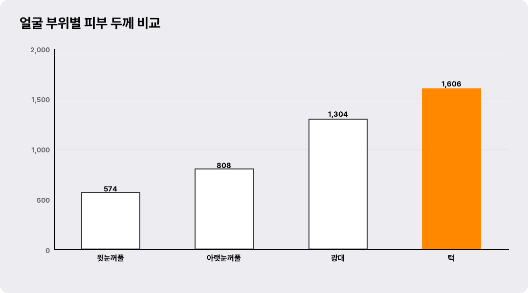 얼굴 부위별 피부 두께 비교