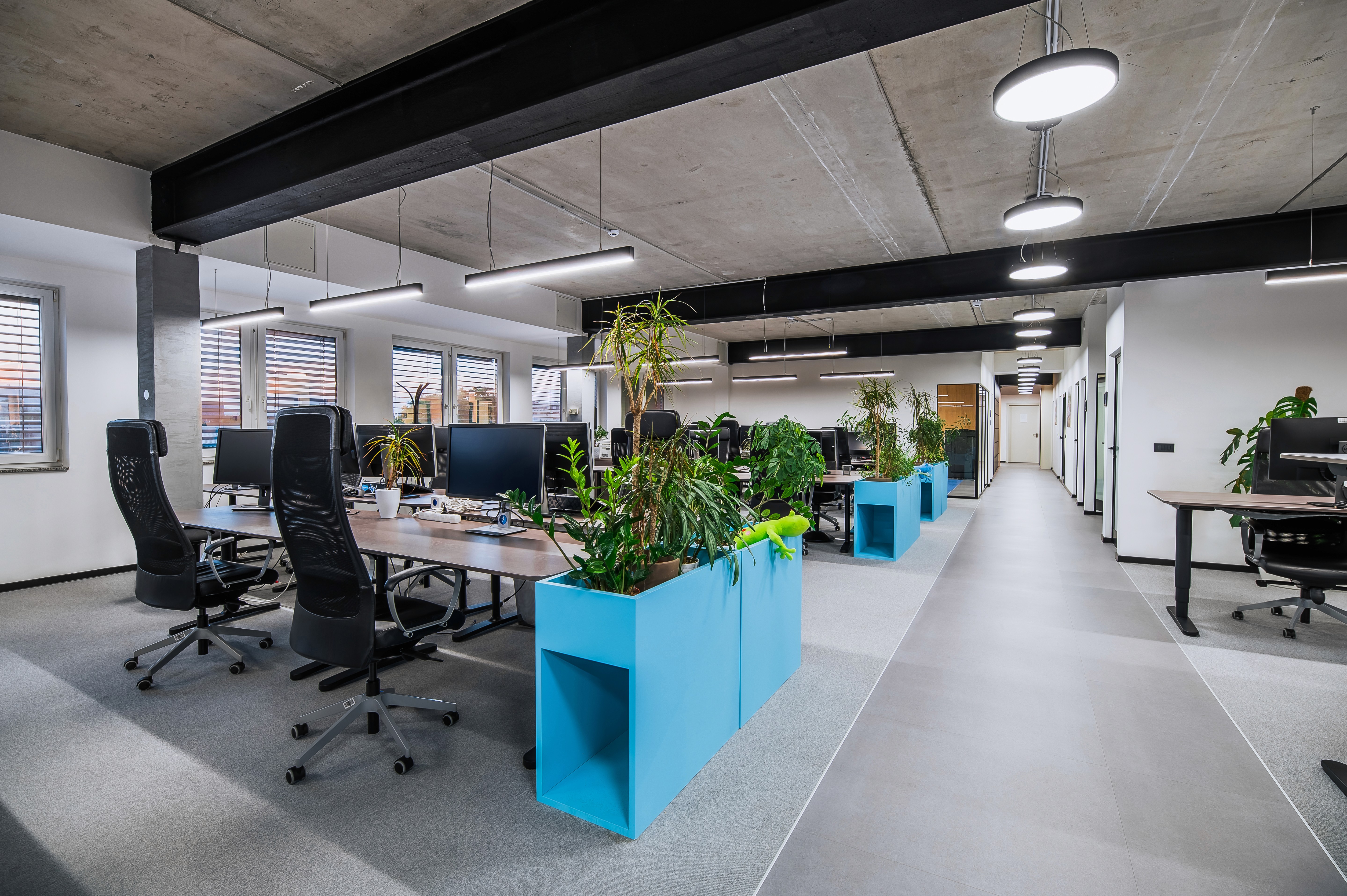 camac-space-prenova-pisarn