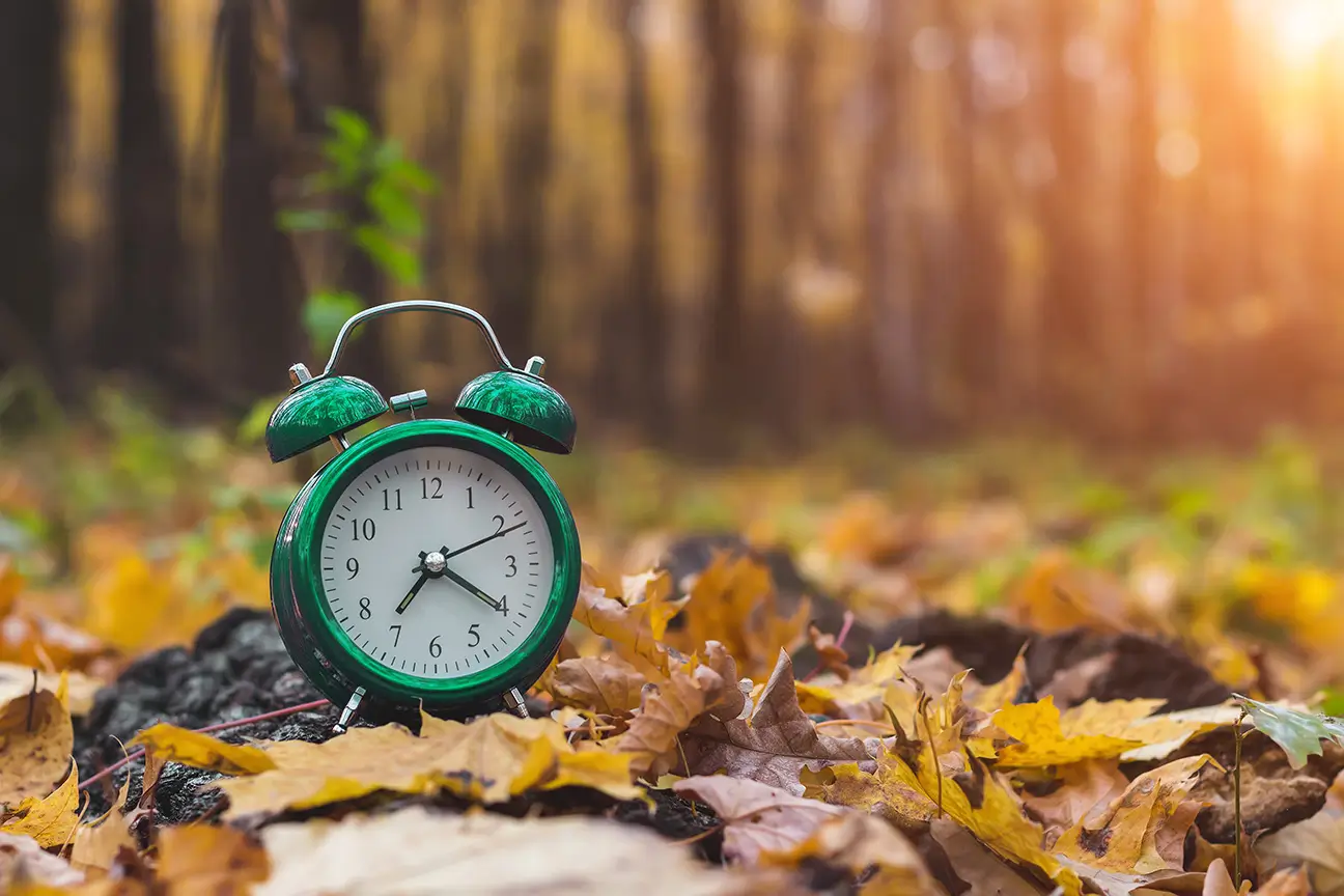 A green alarm clock sits on autumn leaves in a forest, with warm sunlight filtering through the trees.