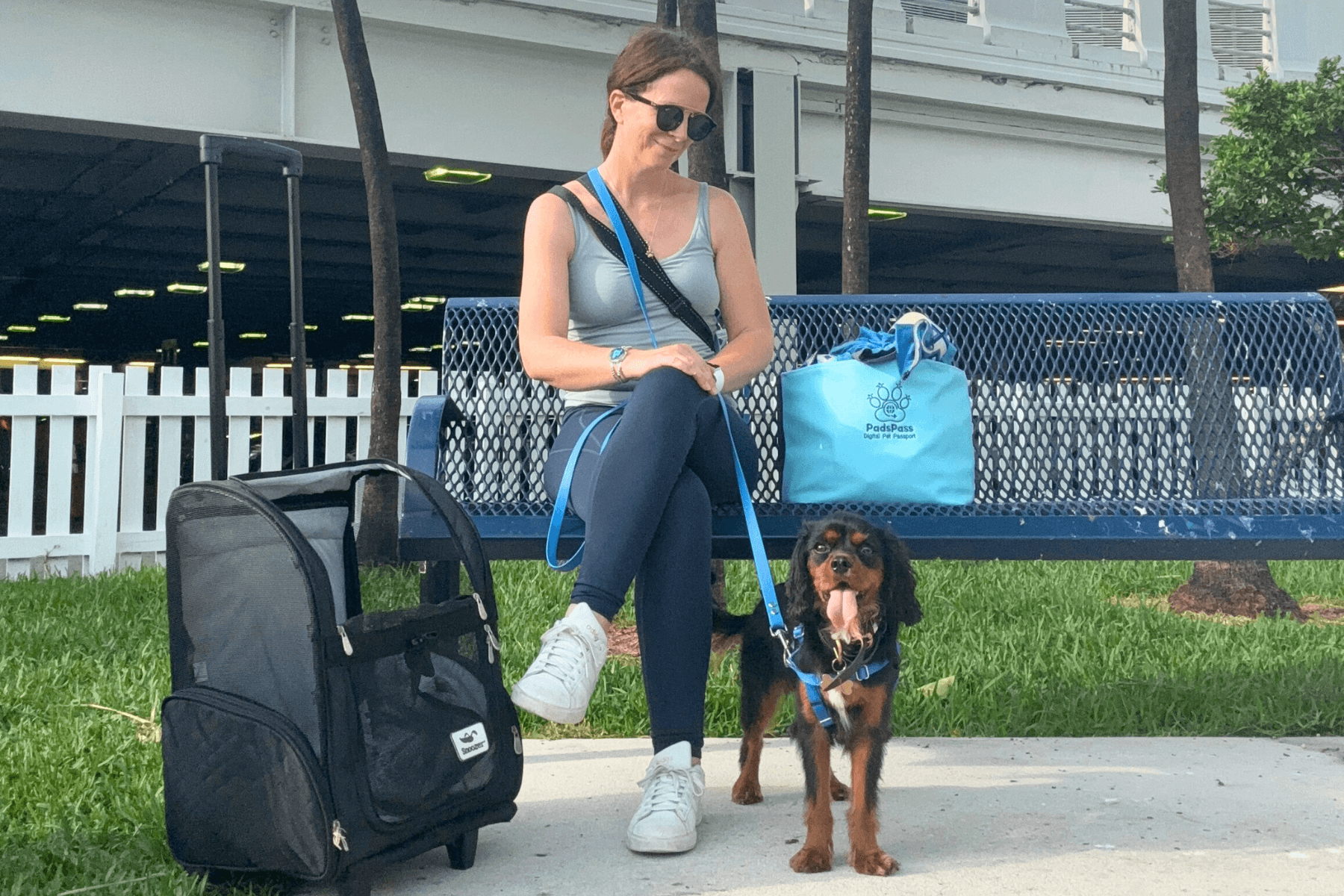 Lauren and her dog (Peru) waiting outside the airport ready to travel