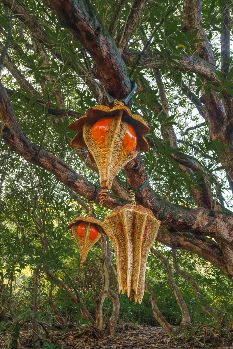 nightshade sculpture hanging from trees