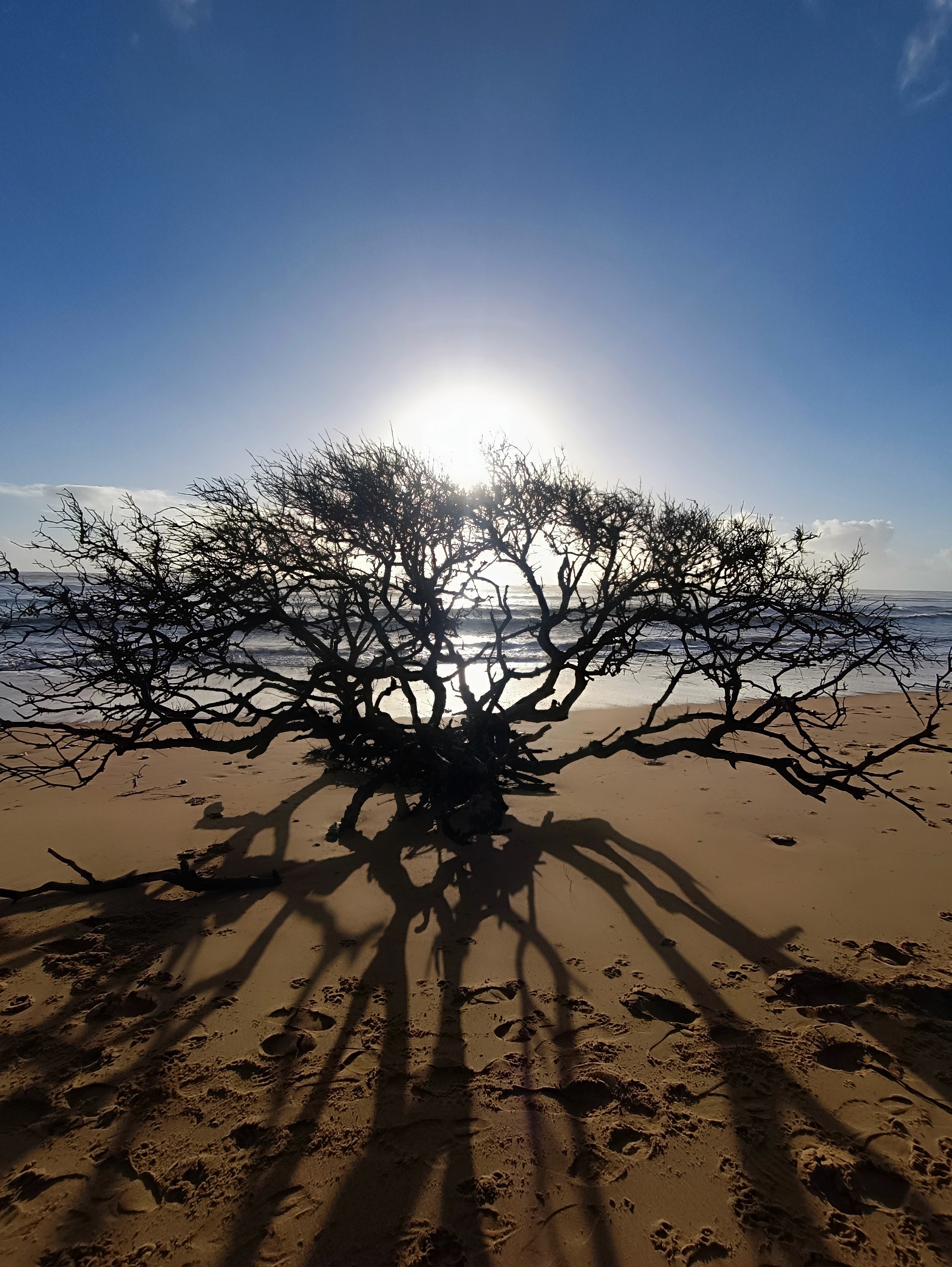 Lunch Specials Image 2