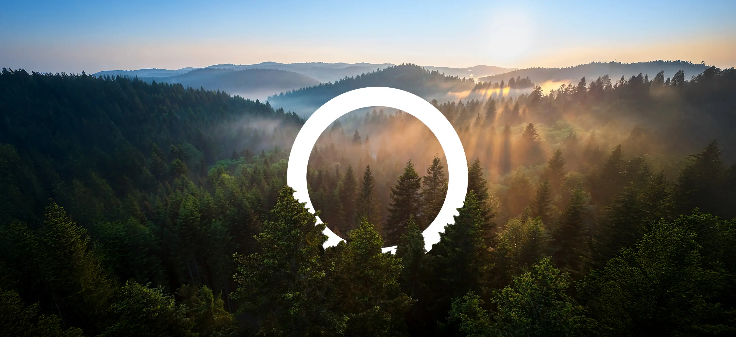 Zero Carbon Capital photo