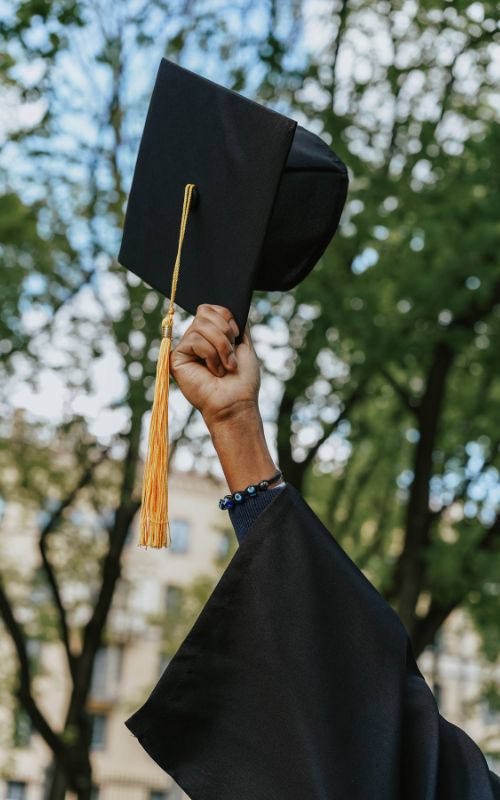 Close-up of a dark green leaf showing its textured surface and central vein against a muted background.