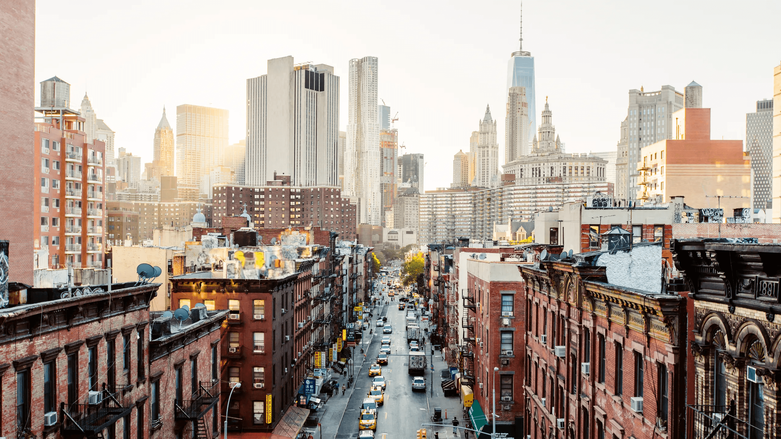 High school student in New York City conducting original research with a PhD mentor online