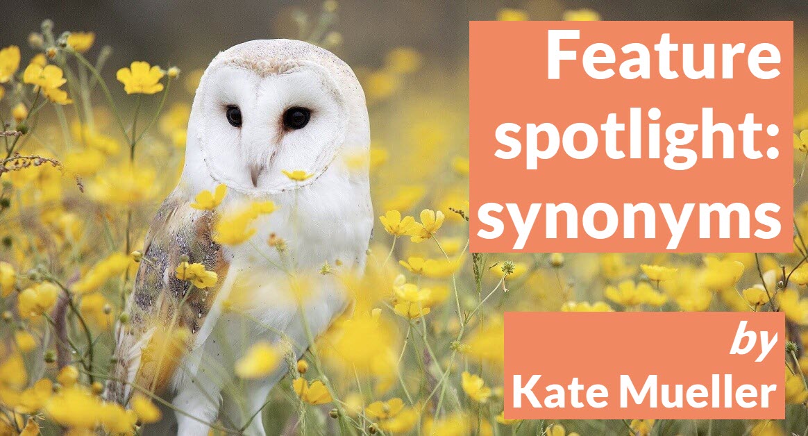 Decorative title banner