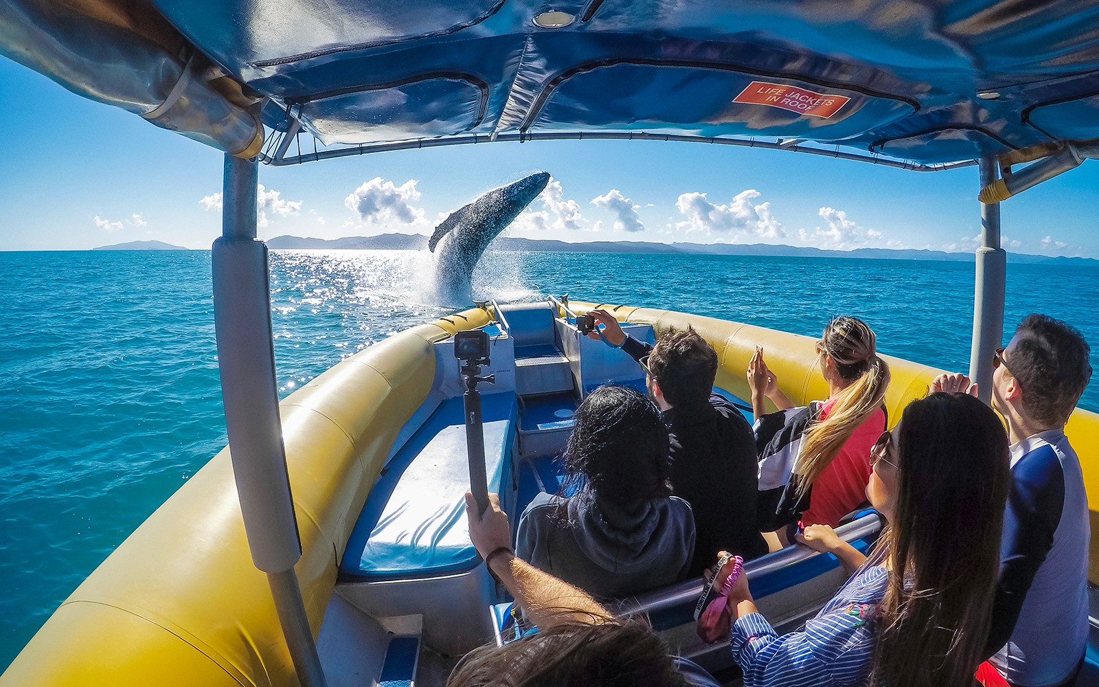 תיירים על רפסודה צופים בלוויתן יוצא מהמים באזור הוויטסנדייז.