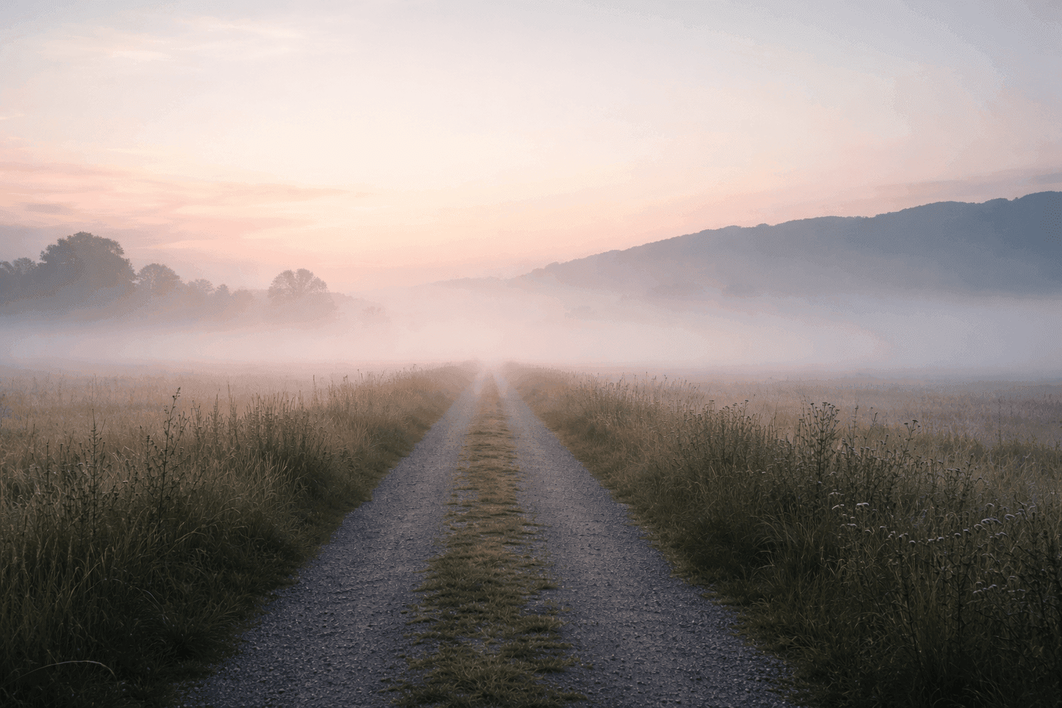 A quiet gravel path stretches into a misty field at dawn, bordered by tall grasses, with soft pastel light rising over distant hills and trees.