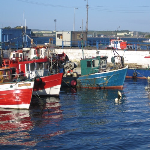 Billets pour le Circuit Titanic : Visite guidée à pied de Cobh