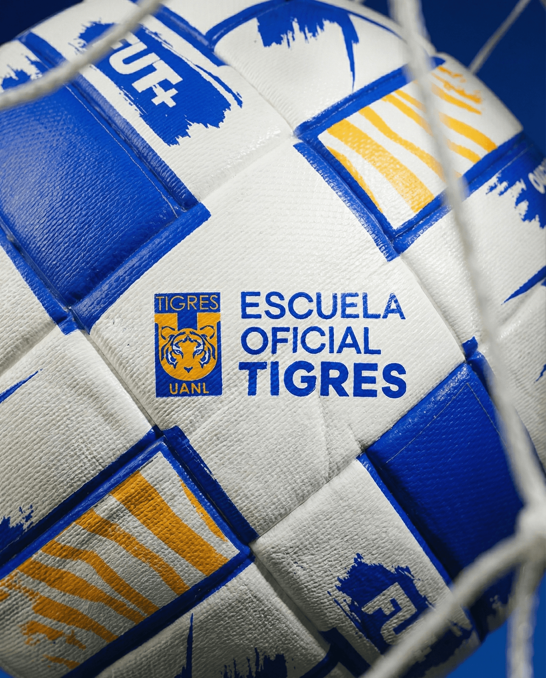 Escuela Tigres Oficial